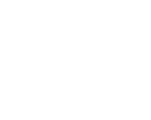 snowremoval-white